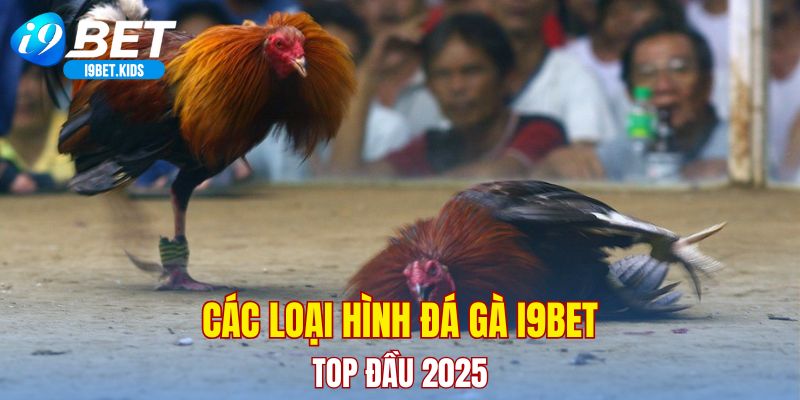 Các loại hình đá gà I9BET top đầu 2025