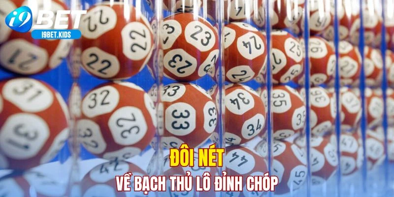 Đôi nét về bạch thủ lô đỉnh chóp